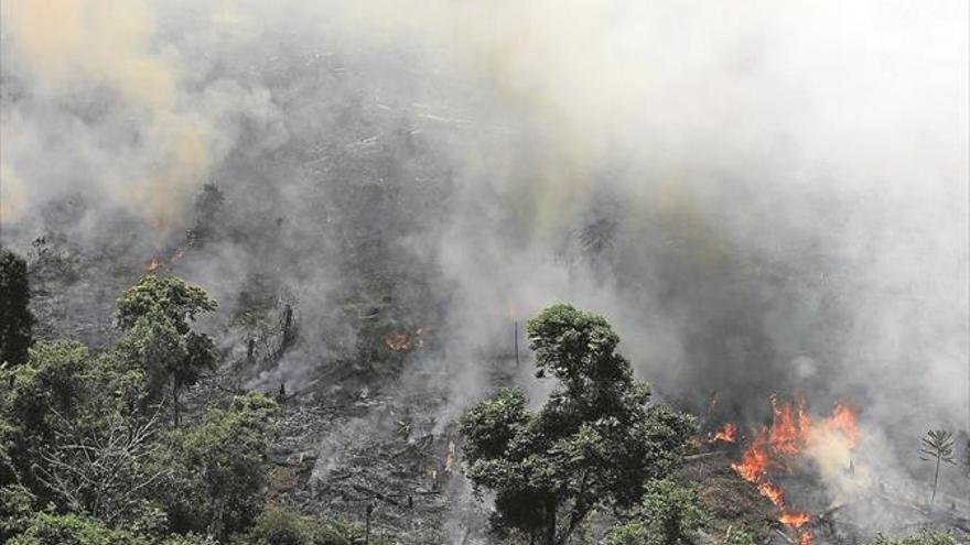 La Amazonia, en llamas