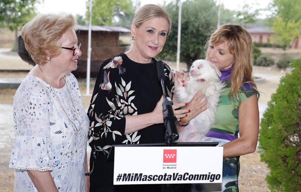 Cristina Cifuentes y Alejandra Botto presentan una iniciativa contra el abandono de mascotas