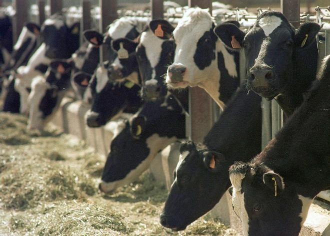 Bruselas suspende las importaciones de carne de Brasil por un posible mal uso de antibióticos