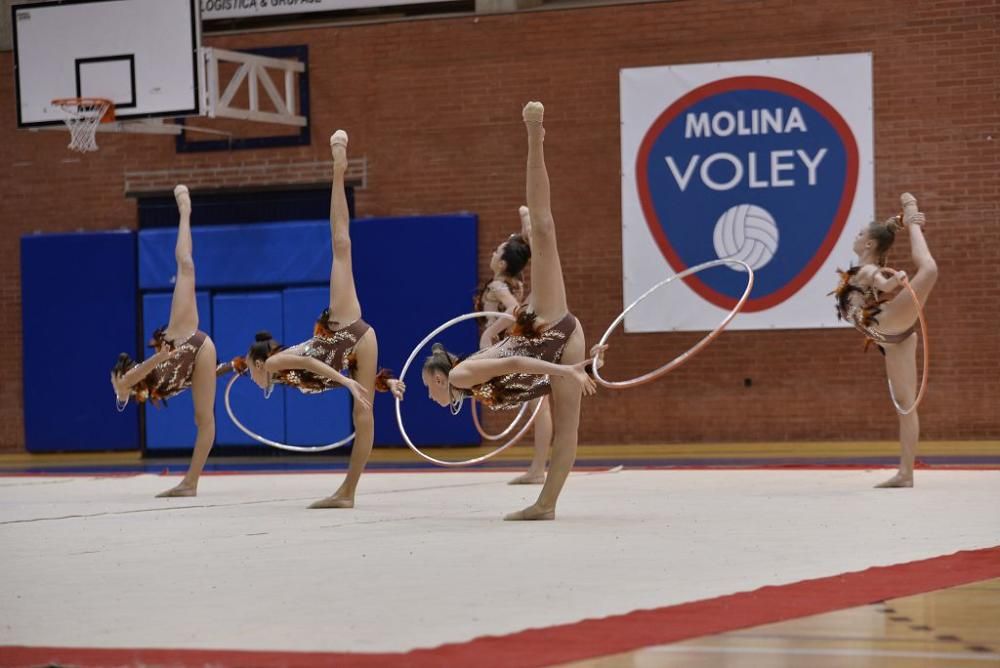 Regional Absoluto de Gimnasia Rítmica