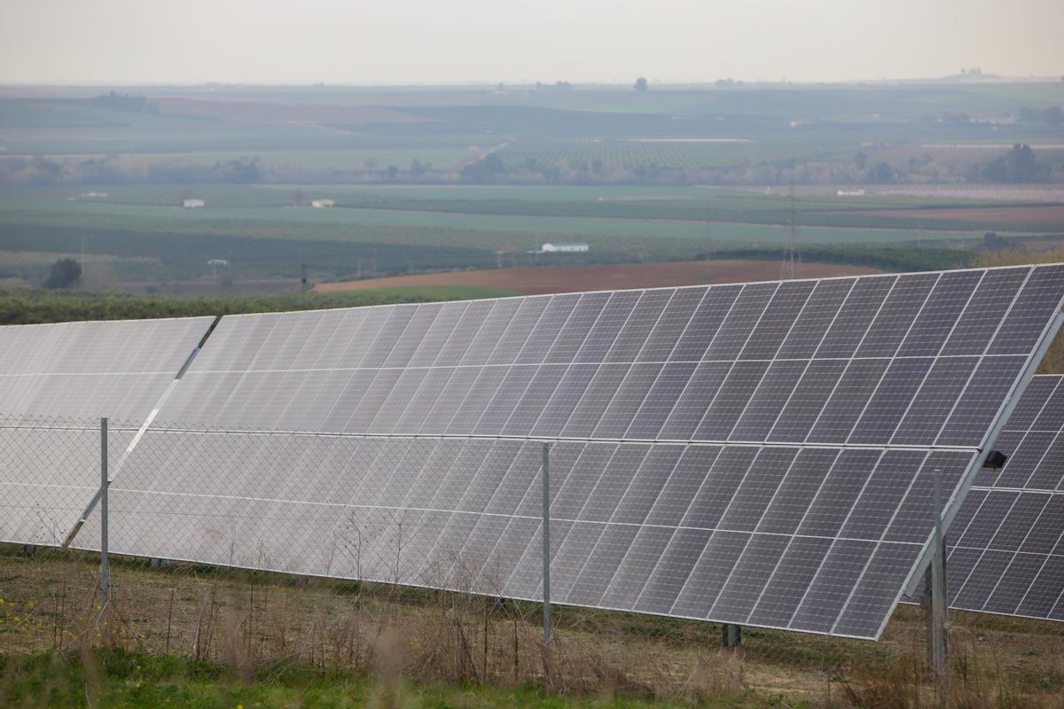 Planta fotovoltaicas en Posadas. Paneles solares, energía solar, placas solares, energía fotovoltaica, energía renovable