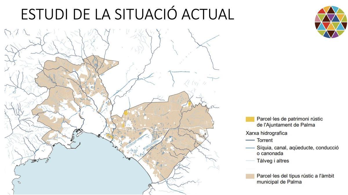 En gris, extensión de las tierras agrícolas de Palma