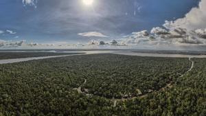 Vista aérea de una zona de la Floresta Amazónica, en el estado de Pará, norte de Brasil, en una fotografía de archivo. EFE/Antonio Lacerda