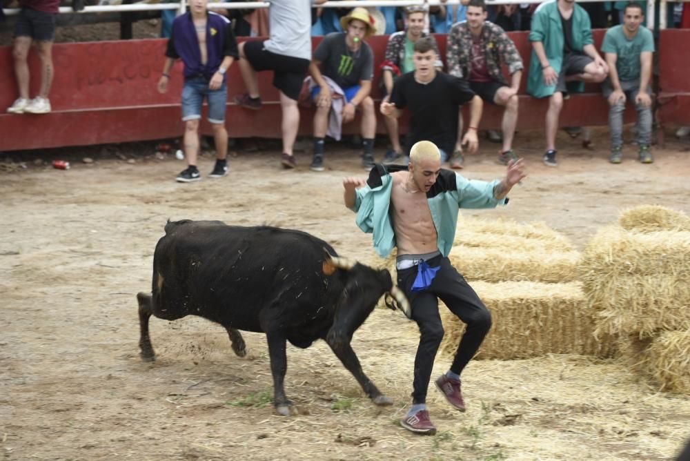 Vaquetes de Santpedor 2018