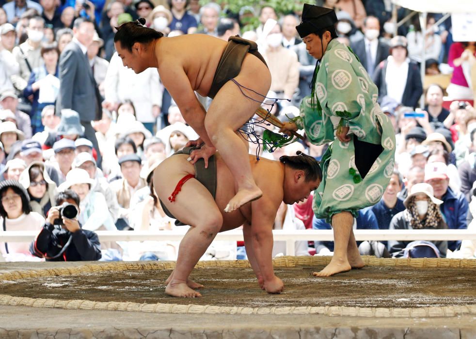 Sumo wrestlers perform a show fight during an ...