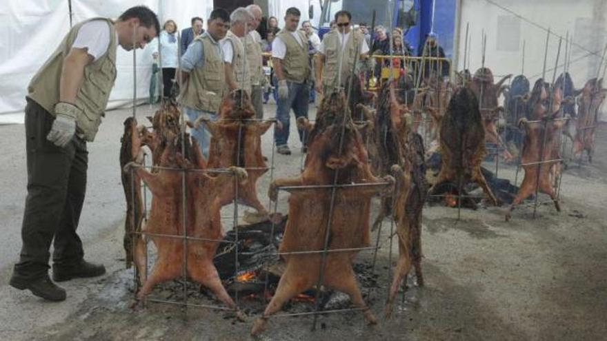 &#039;Porcos celtas&#039; se asan para la jornada gastronómica de ayer en Arteixo. / víctor echave