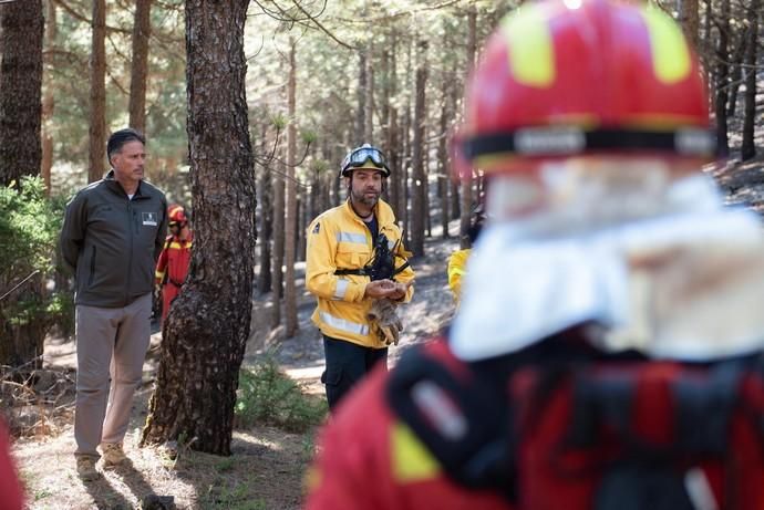 La UME realiza prácticas de prevención de incendios en Gran Canaria