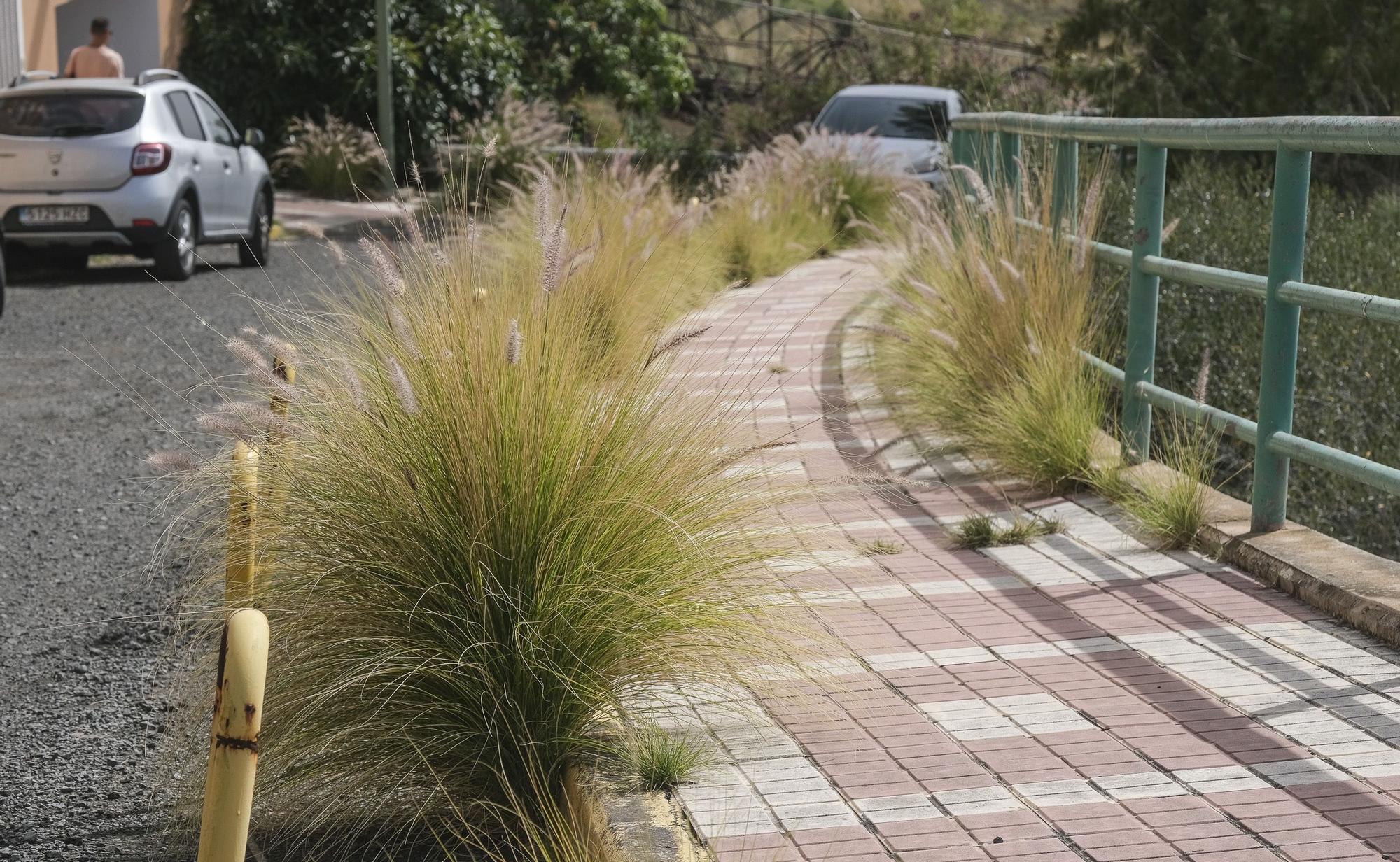 Falta de limpieza en las calles del barrio de El Fondillo en Las Palmas de Gran Canaria