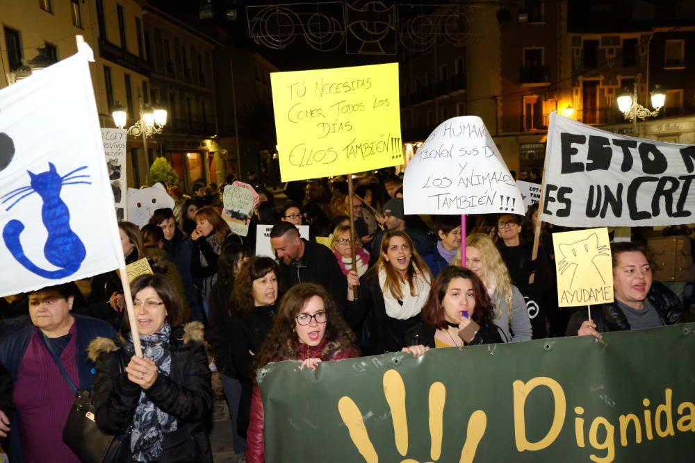 Manifestación de "Gatitos en apuros" en Elda