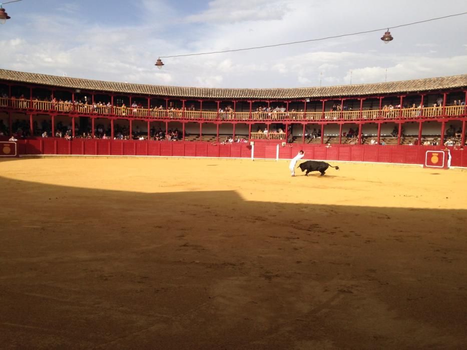 Fiestas Toro- concurso de jóvenes cortadores