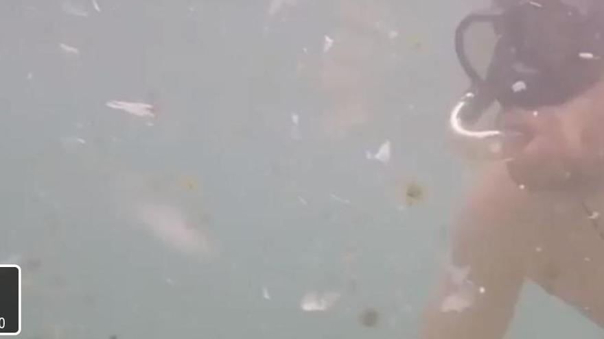 El espeluznante vídeo que muestra la basura marina en la costa valenciana