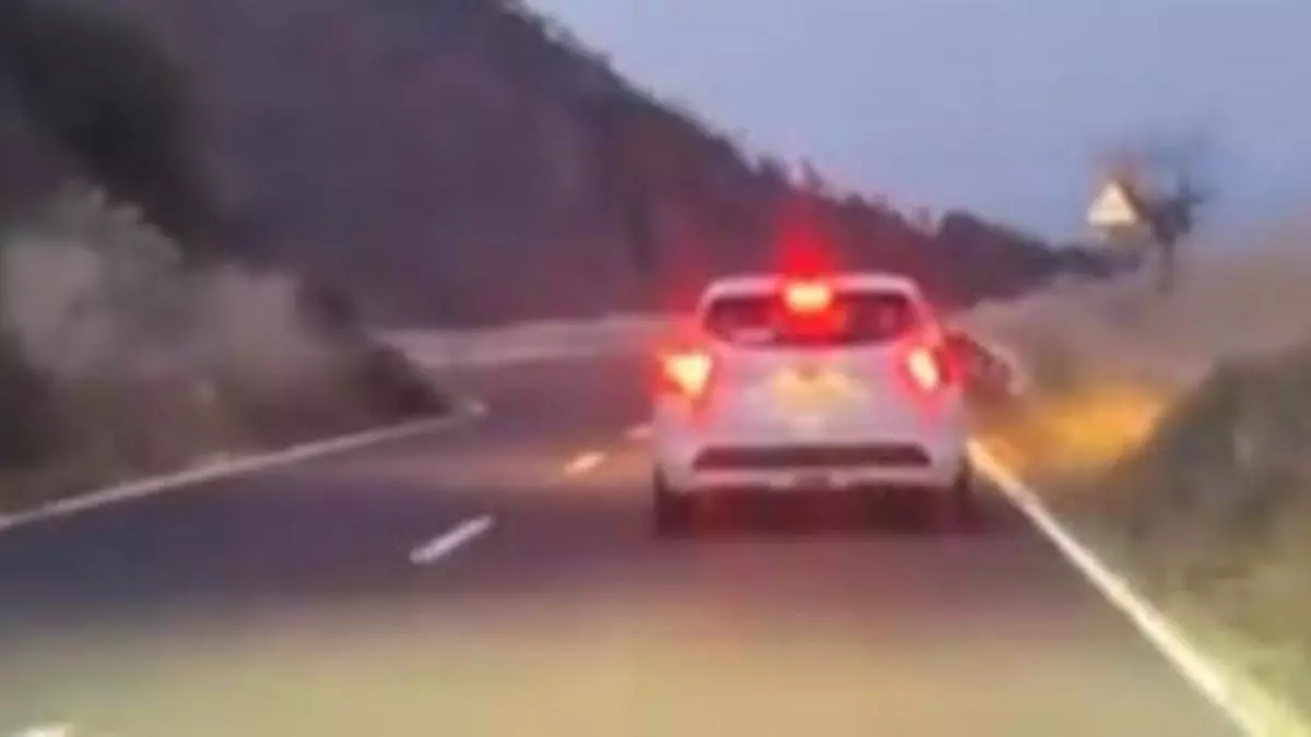 Lo que hace este coche de alquiler en Tenerife desata la polémica en redes: "Lástima que no frene"