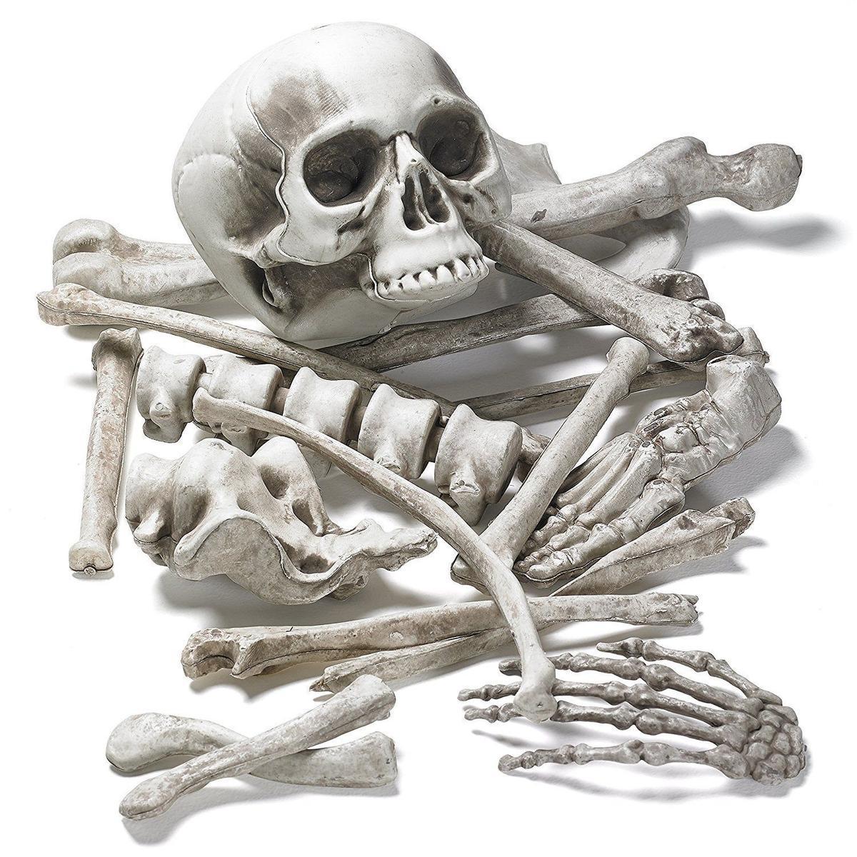 Esqueleto de 18 piezas para decorar (Precio: 22,99 euros)