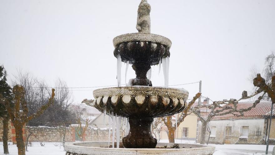 Temporal Filomena: Moraleja y Sanzoles, teñidas de blanco