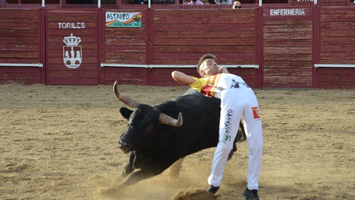 &quot;Tororo&quot;, durante el Concurso de Cortes en una edición pasada. / E. P.