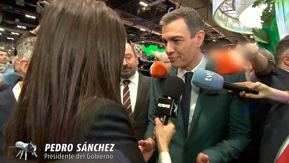 Pedro Sánchez en 'Caiga quien caiga'