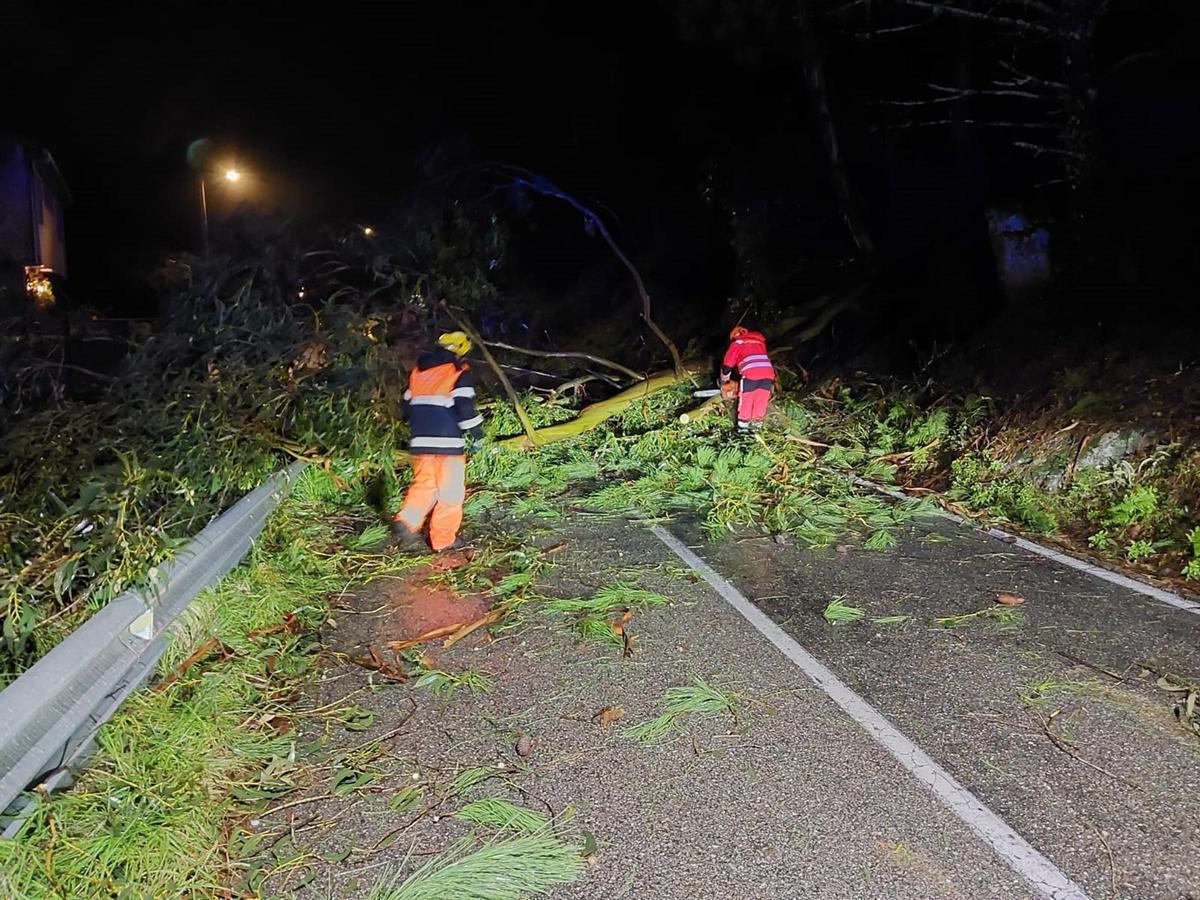 Protección Civil Cangas retiró árboles caídos en A Madalena.