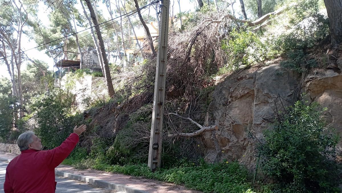 En Pinares de San Antón calculan que este terreno de calle Las Palmeras puede haber unos veinte árboles secos o desplomados.