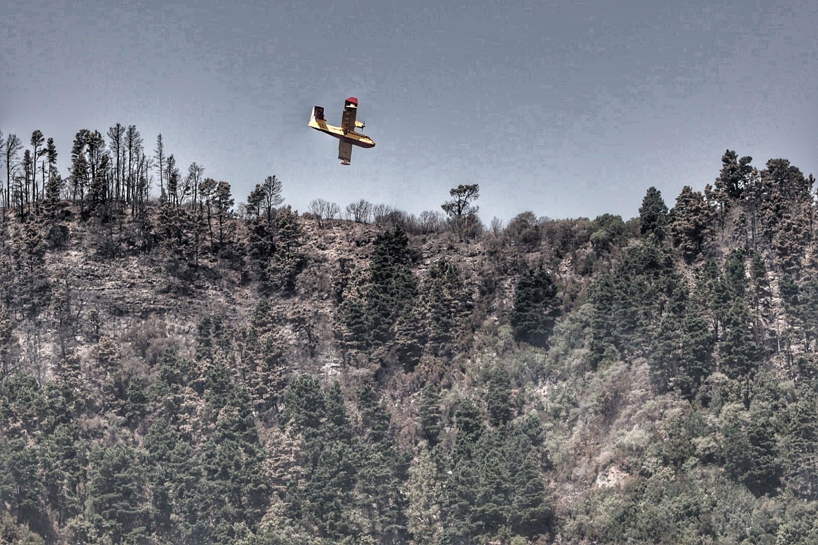 Siguen las tareas de extinción del incendio de Tenerife