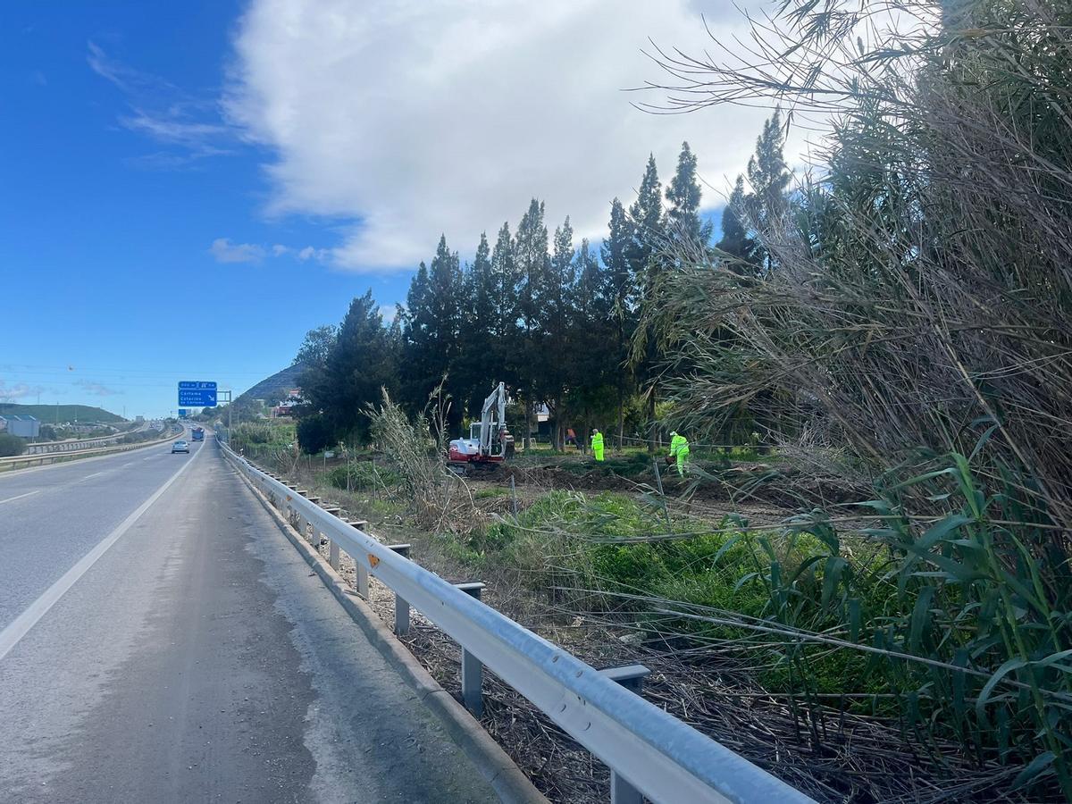 Fomento ha plantado una pantalla vegelta para mitigar el ruido en la autovía A-357 a su paso por Cártama.