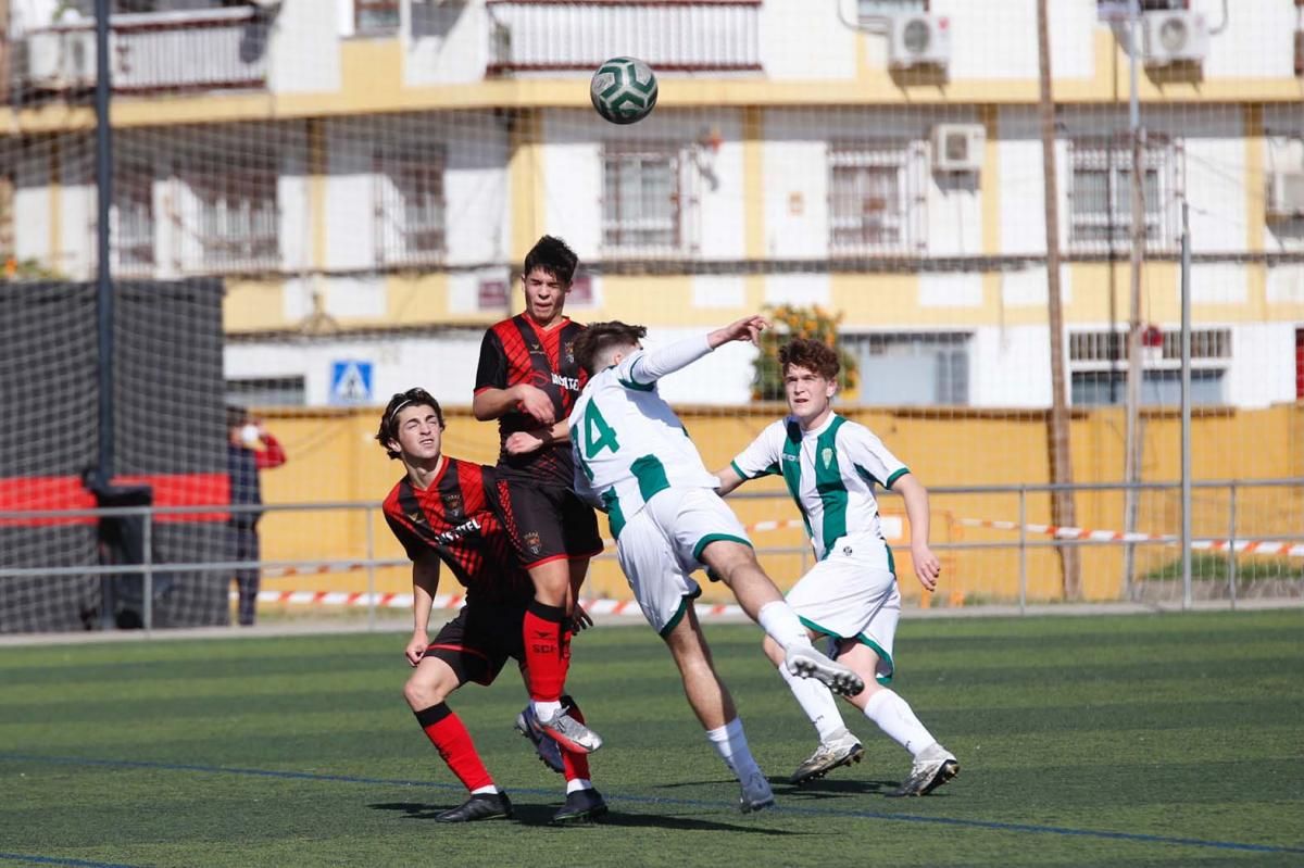 Séneca-Córdoba. Derbi de la División de Honor Juvenil.