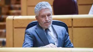 Interior tiene detectados 99.644 casos activos por violencia de género hasta octubre