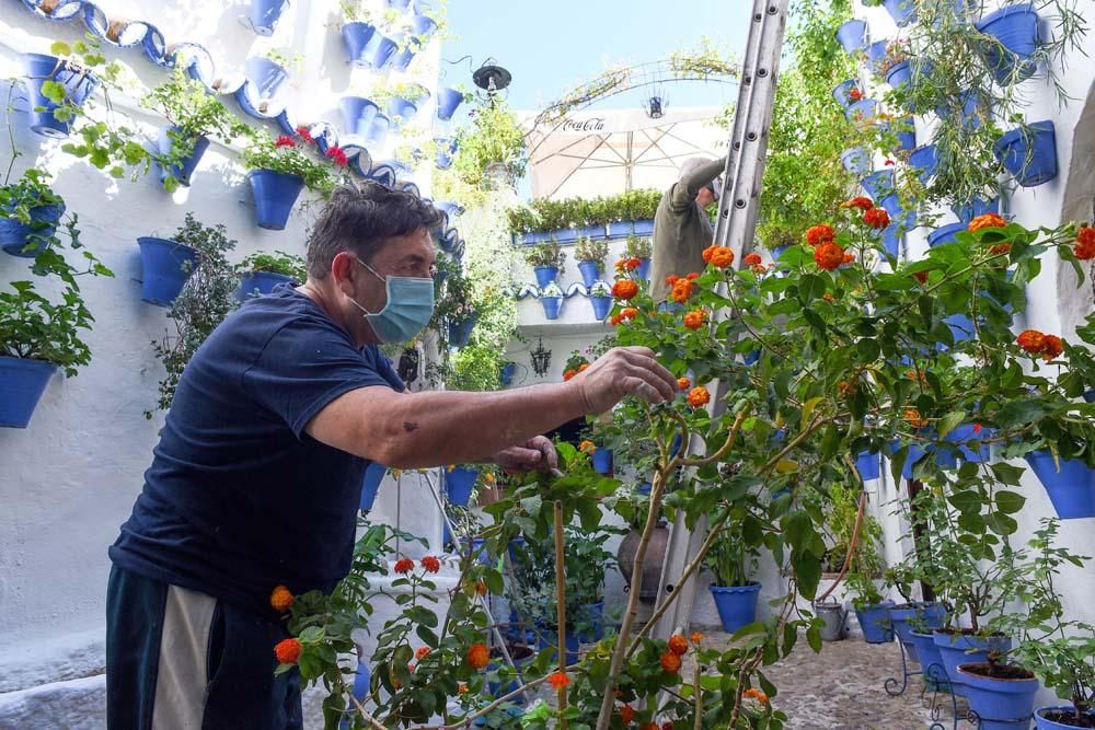 Últimos preparativos del Festival de Patios