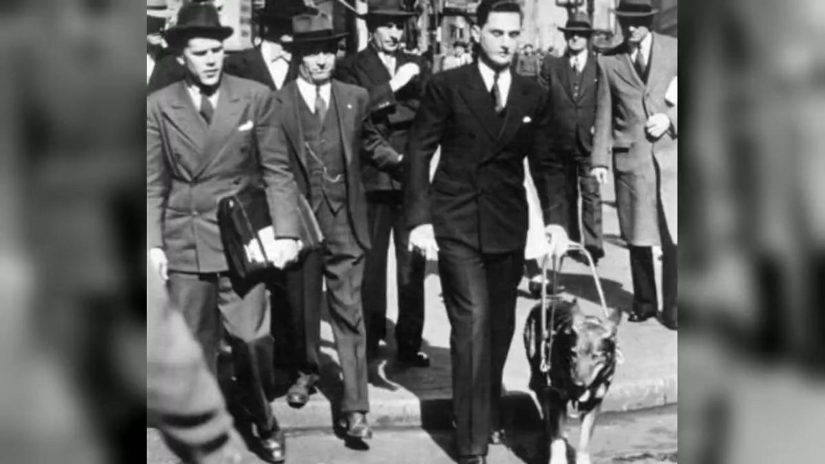 Desi, la gossa historiadora | + Història Desi, la gossa historiadora | + Història