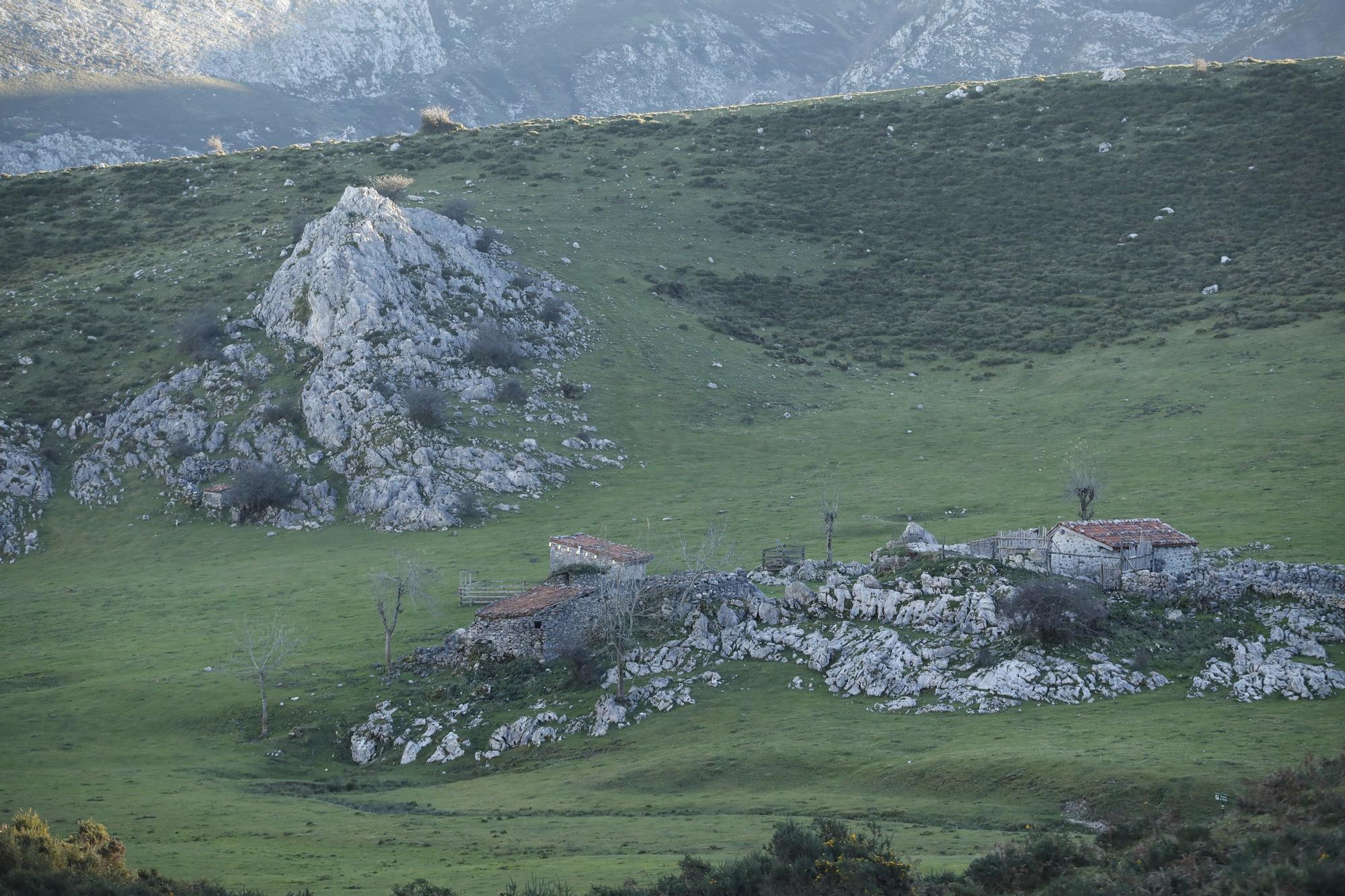 La majada de Belbín (Onís).