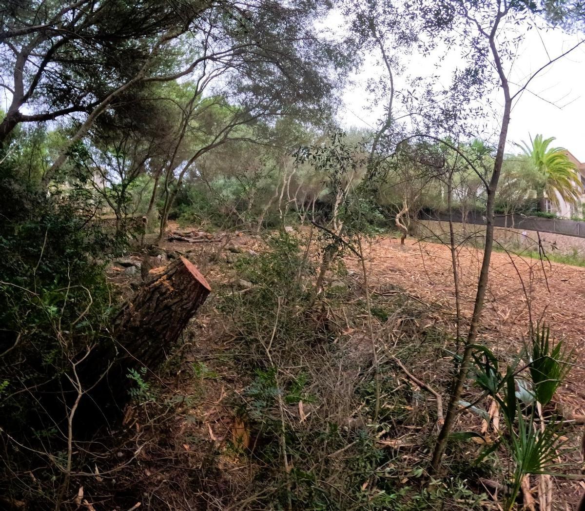 El colectivo conservacionista asegura que la actuación potenciará la erosión del suelo.