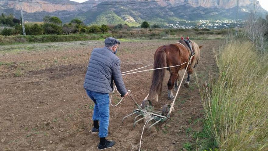 Jesús Pobre está apostando por recuperar cultivos. | A. P. F.