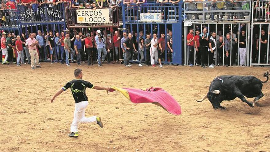 23 toros cerriles protagonizan esta edición taurina