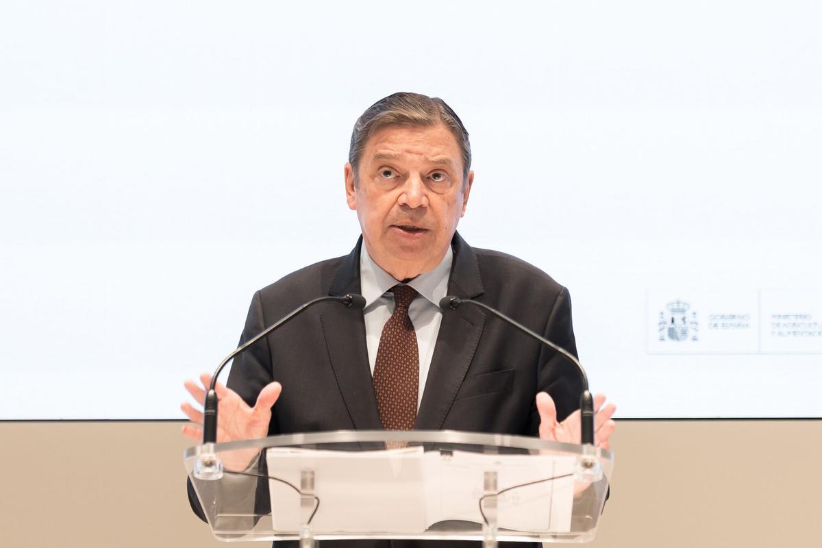 800 milions d’euros en joc: el Govern busca reduir l’impacte de la pesta porcina