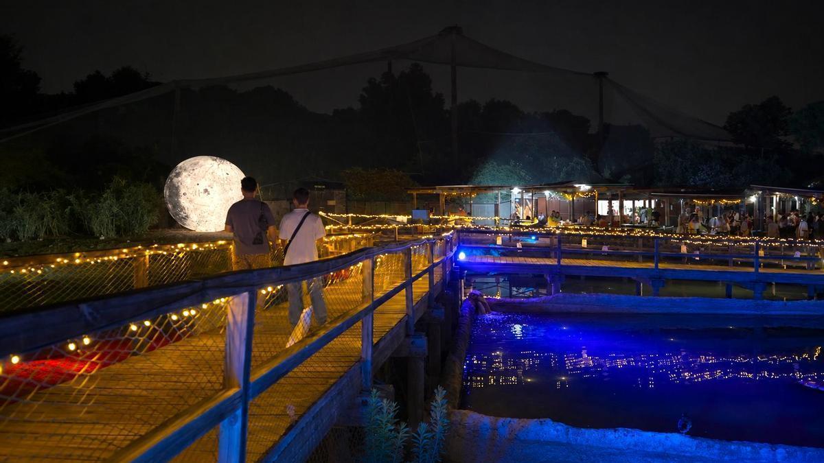 El próximo 12 de junio, Terra Natura Murcia celebrará una nueva edición de Noche de Luces.