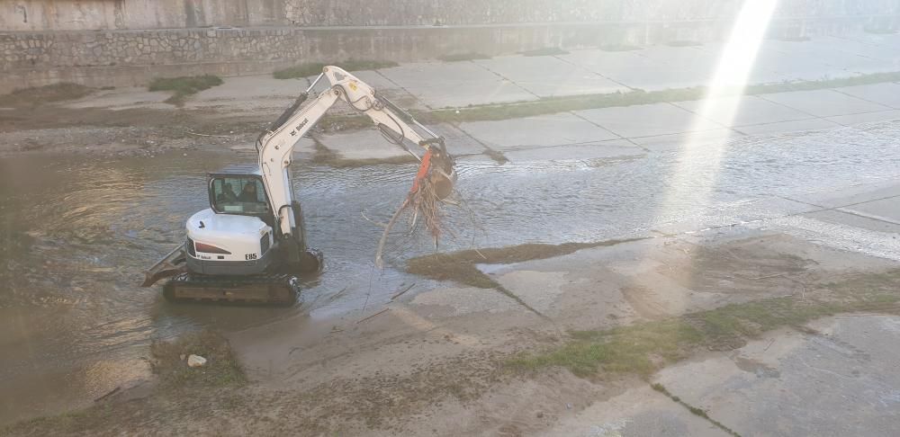 Netegen la brossa de l'Onyar a la plaça Catalunya de Girona