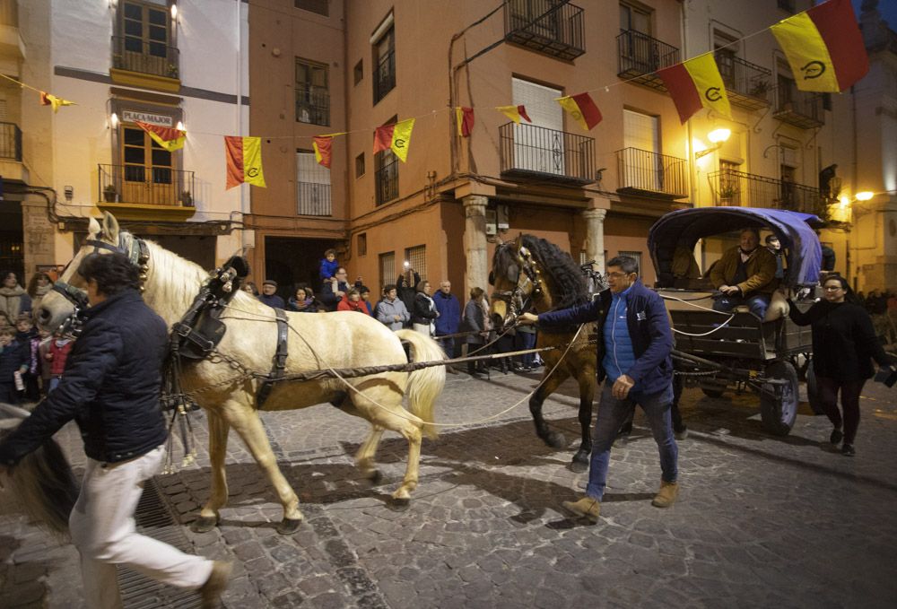 Sant Antoni arranca en Sagunt con la tradicional Plantà del Pi