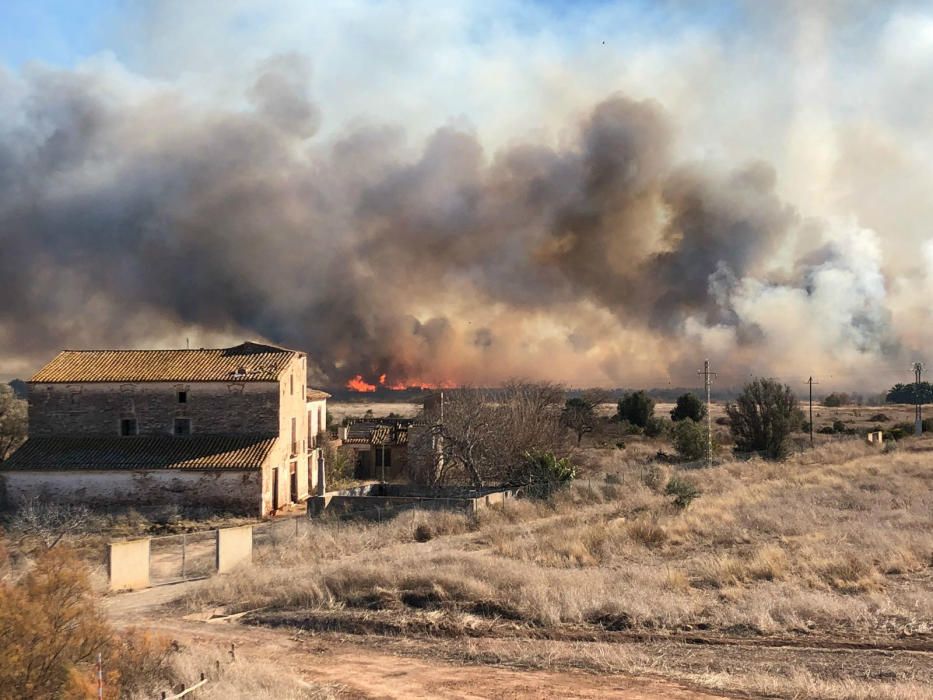 Incendio forestal en el Marjal dels Moros en Sagunt