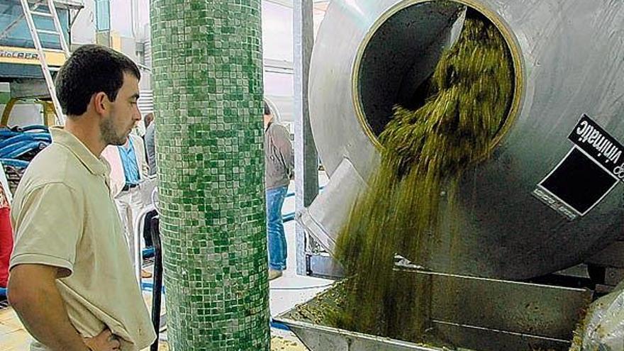 Condes de Albarei produce dos millones de litros de vino al año.