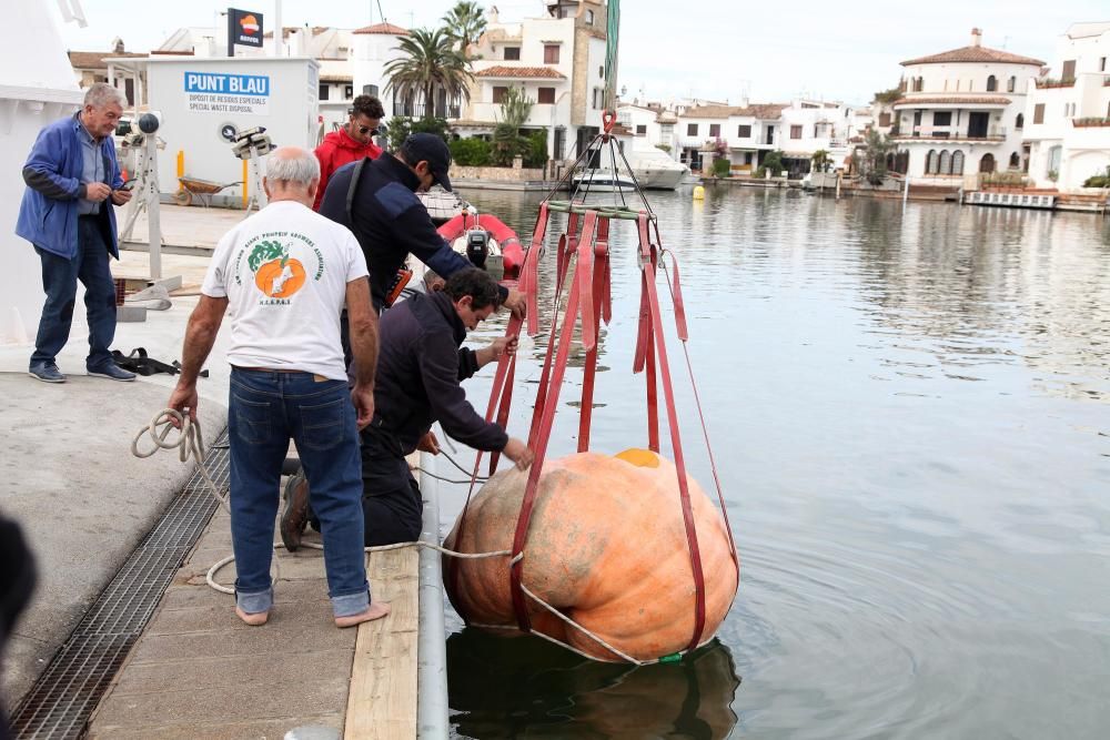 Carabasses gegants als canals d'Empuriabrava