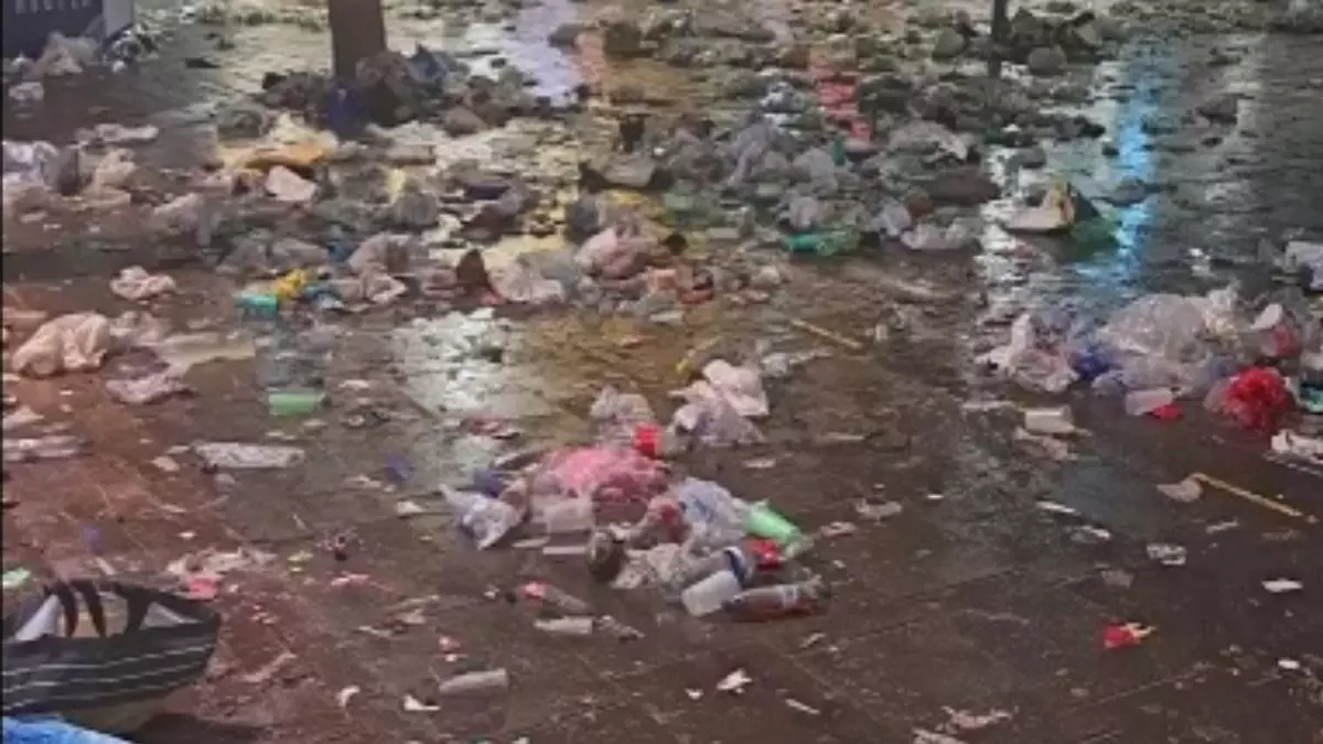 El Carnaval de Santa Cruz deja varias peleas en la noche del sábado