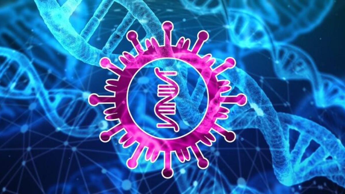 ¿Conseguirán las nuevas vacunas contra la Covid-19 neutralizar la variante sudafricana?