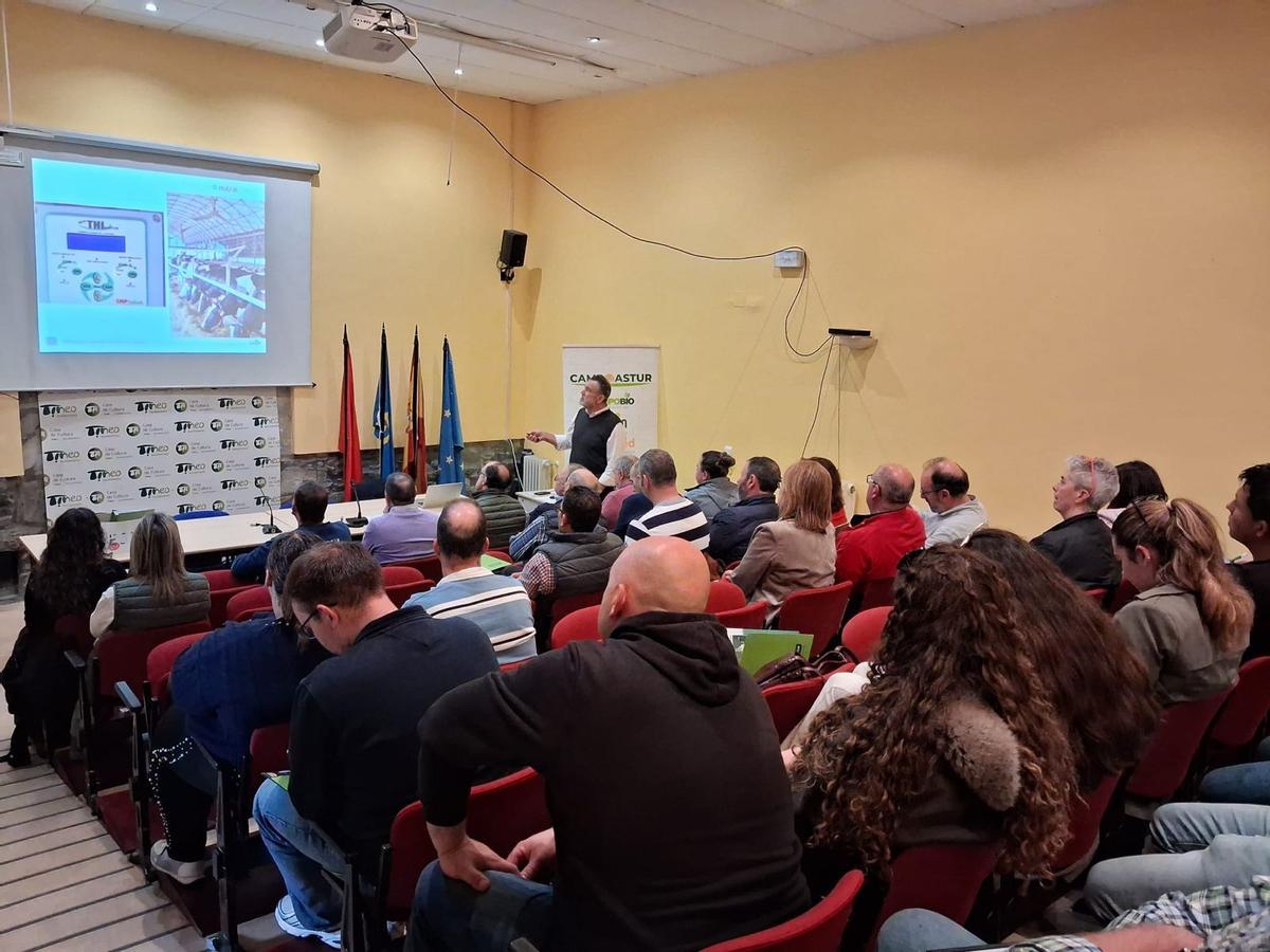 Un instante de las jornadas de Campoastur en Tineo.