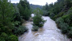 El barranco de Lloret, en Roquetes (Baix Ebre), con la última crecida de caudal.