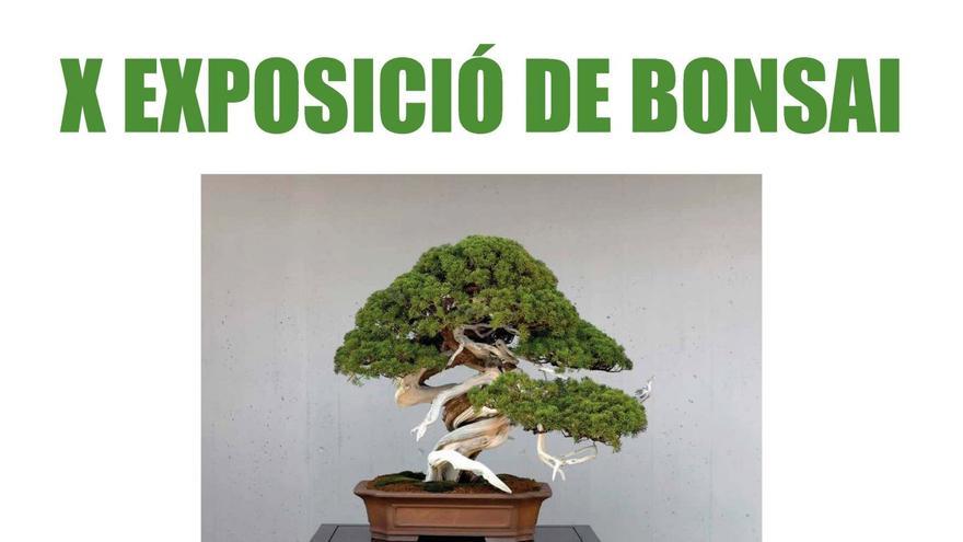 X Exposició de Bonsai