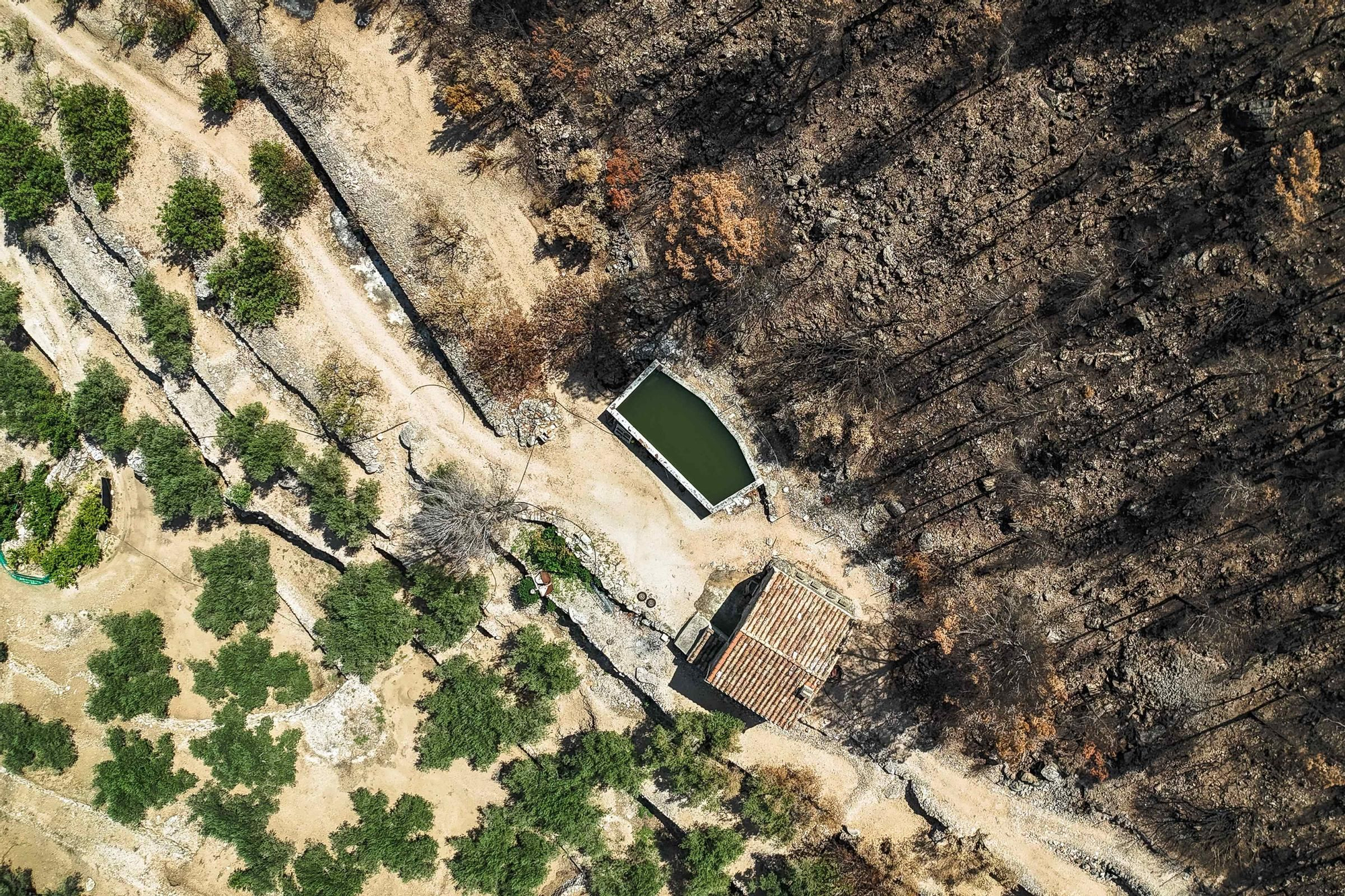 Les fotos de l'incendi de Paüls a vista de dron
