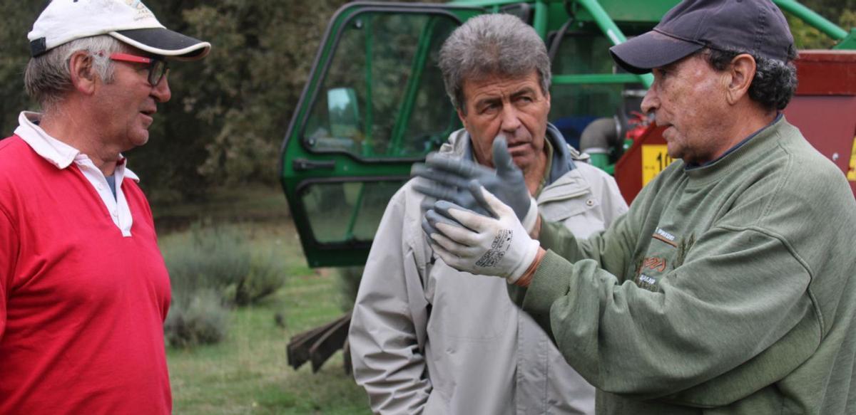 Los castañicultores de Rábano de Sanabria Jesús Cornejo y Celestino Guzmán. | A. Saavedra