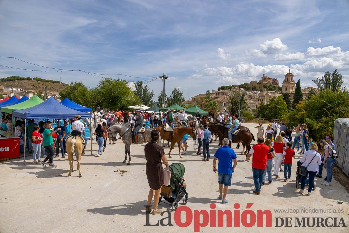 Romería del Bando de los Caballos del Vino