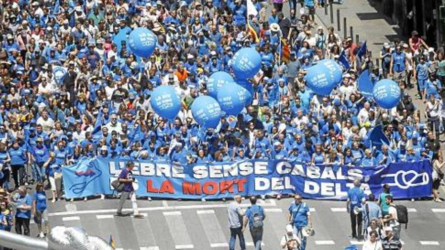 Imatge aèria de la capçalera dels manifestants, guarnits amb el blau de la Plataforma en Defensa de l&#039;Ebre