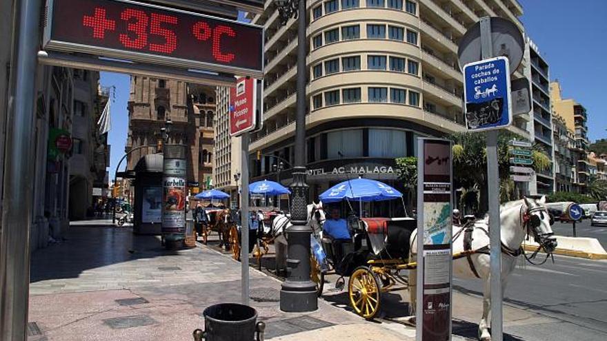 Bochorno. las temperaturas se situaron ayer cerca del nivel de alarma.