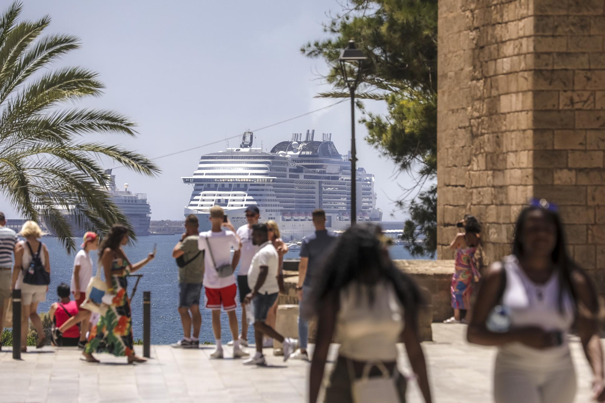 Nur eine "Ausnahme"? Fünf Kreuzfahrtschiffe gleichzeitig im Hafen von Palma de Mallorca